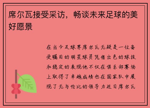 席尔瓦接受采访，畅谈未来足球的美好愿景